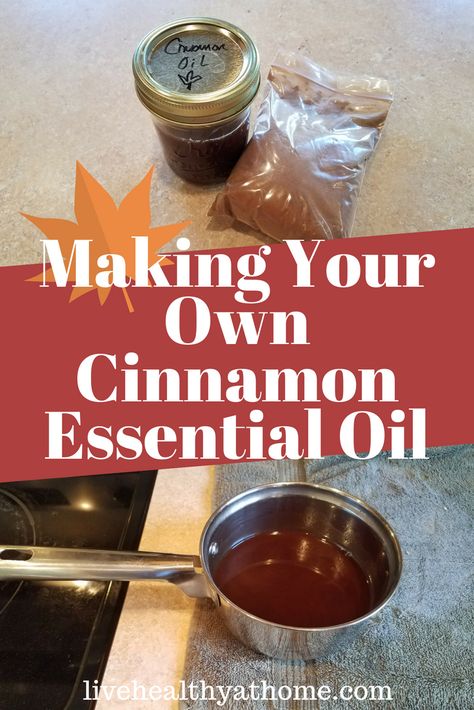 Making Your Own Cinnamon Essential Oil - Healthy at Home Diy Cinnamon Essential Oil, Essential Oil Diy, Cinnamon Extract, Diy Cinnamon, Cinnamon Benefits, Homemade Essential Oils, Săpunuri Handmade, Diy Essential Oil Recipes, Making Essential Oils