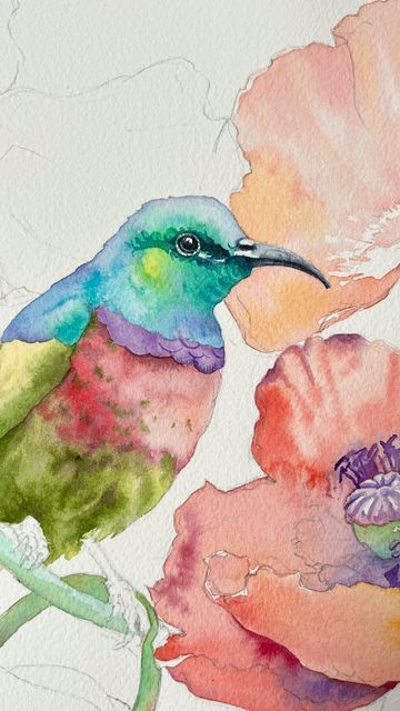 Anna Bucciarelli Watercolor, Anna Bucciarelli, Rough Week, Watercolor Birds, Watercolor Tutorials, Watercolor Painting Techniques, I Am Back, Watercolor Inspiration, Watercolour Tutorials