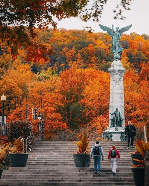 Mont Royal Montreal, Canada Fall, Montreal Travel, Mount Royal, Fall Days, Montreal Quebec, Montreal Canada, Autumn Day, Montreal