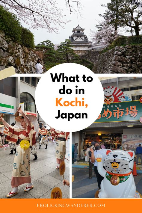 Kochi city, Japan is filled with hidden gems waiting to be enjoyed; from stunning beaches to partying with locals. You can learn about the history, culture and the liveliest people in Japan. Kochi Japan, Indoor Markets, Castle Gate, City Japan, Castle Designs, Bamboo Forest, Visit Japan, Buddhist Temple, Travel Activities