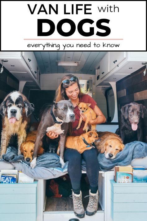 Living With Dogs, Campervan Life, Van Life Diy, Bus Life, Van Living, Travel Van, Kid Friendly Travel Destinations, Camper Life, Kid Friendly Trips