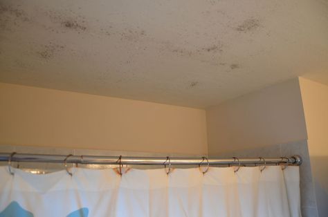 Bathroom ceiling mold always seems to constantly appear. Read here for the best natural method to get rid of bathroom ceiling mold. Cleaning Bathroom Ceiling Mold, How To Get Rid Of Mold On Bathroom Ceiling, Bathroom Molding Ceiling, Cover Bathroom Ceiling, Removing Mold From Bathroom Ceiling, How To Clean Mold From Bathroom Ceiling, Bathroom Ceiling Repair, Moldy Bathroom Ceiling, How To Get Mold Off Bathroom Ceiling