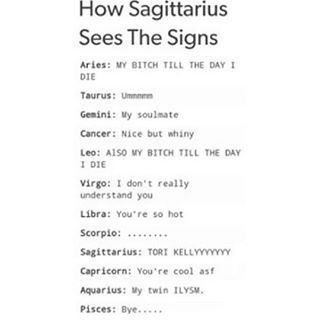 How Sagittarius Sees The Signs Zodiac Signs Sagittarius, Zodiac Signs Leo, Horoscope Gemini, Zodiac Stuff, Zodiac Personalities, Zodiac Society, Zodiac Traits, Zodiac Posts, Zodiac Signs Horoscope