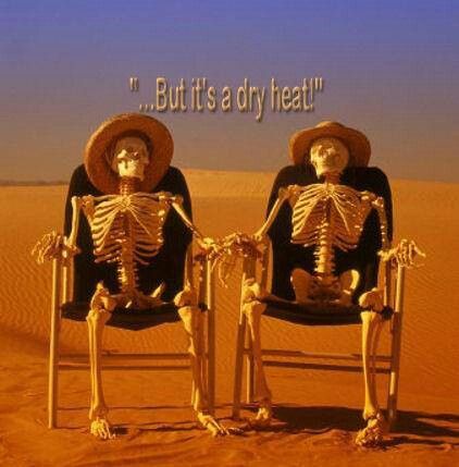 Dry heat Summer Heat Humor, Arizona Humor, Heat Meme, Hot Weather Humor, Weather Memes, Hate Summer, Weather Quotes, Dry Heat, Vegas Baby