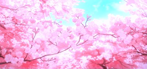 Sakura Gif Banner, Sakura Discord Banner, Sakura Banner Gif, Pink Gif Aestethic, Pink Flowers Gif, Discord Banner Pink, Sakura Banner, Pink Banner Gif, Japanese Gif