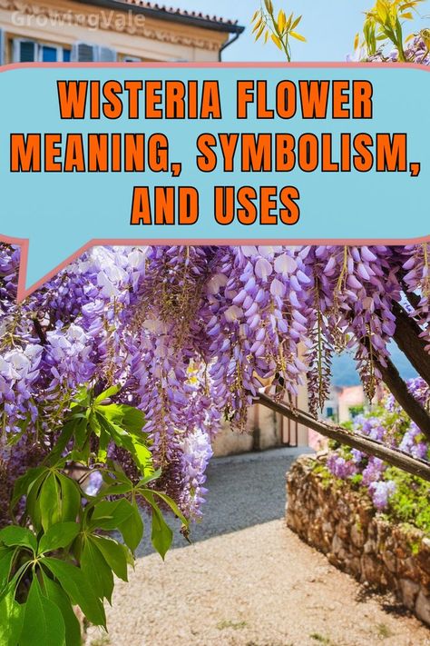 Wisteria Flower Meaning Wisteria Flower, Wisteria Flowers, Flower Meanings, Different Cultures, Types Of Flowers, Wisteria, A Tree, Garden Design, Meant To Be