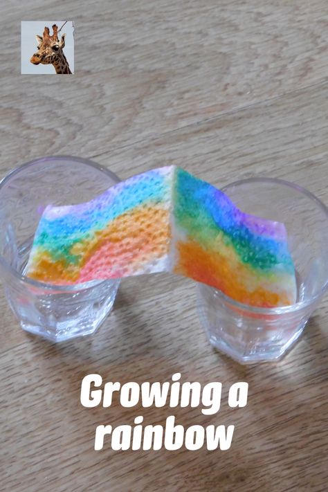 Science Activity For Kids, Rainbow Experiment, Rainbow Kitchen, Rainbow Activities, Rainbow Water, Under The Rainbow, Science Activity, Steam Activities, Science Activities For Kids