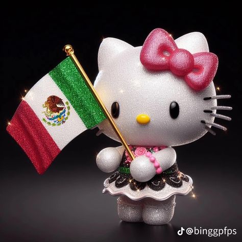 Hello Kitty Holding Flag, Mexican Hello Kitty, Hollow Kitty, Hello Kitty Boy, Hello Kitty Imagenes, Hello Kitty Y2k, Hello Kitty Gifts, Y2k Profile Picture, Beach Icon