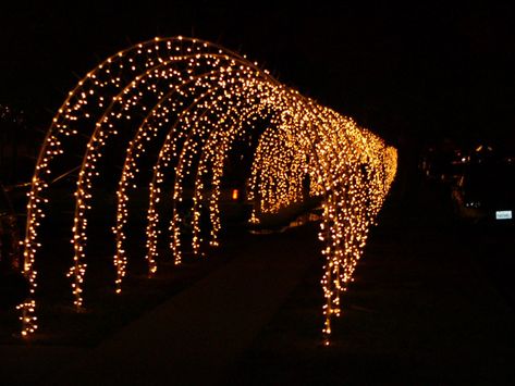 Arch Light, Light Tunnel, Christmas Light Installation, Hanging Christmas Lights, Wedding Entrance Decor, Prom Decor, Christmas Light Displays, Wedding Entrance, Wedding Sarees