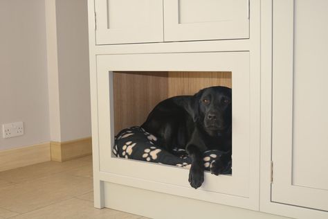 Built In Dog Kennel, Dog Bed Design, Built In Dog Bed, Laundry Reno, Boot Room Utility, Dogs Ideas, Dining Room Built In, Kitchen Built In, Bed Design Ideas