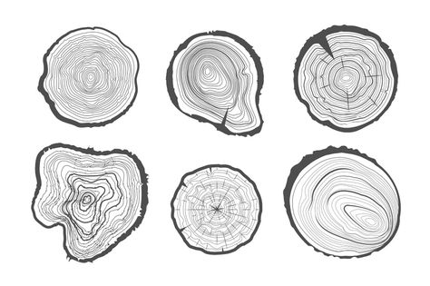 Tree-rings wood tree cross lumber section collection age natural texture rings growth vector trunk firewood circle nature pattern stump Tree Ring Tattoo, 42 Tattoo, Mural Ideas, Ring Tattoos, Tree Rings, Visual Language, Wood Tree, Nature Tattoos, Sgraffito