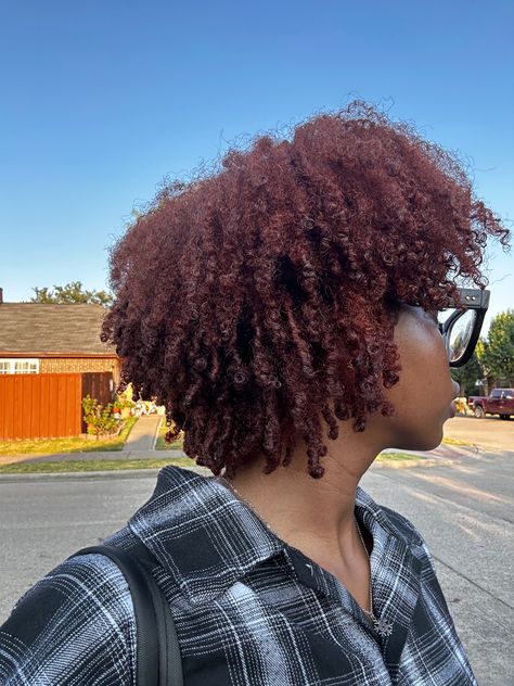 Red 4c Hair Black Women, Auburn 4c Hair, Dyed Natural Hair Black Women, Dark Red 4c Hair, Copper 4c Natural Hair, Burgundy 4c Hair, Auburn Natural Hair Black Women, Afro Dyed Hair, Colored Natural Hair For Black Women