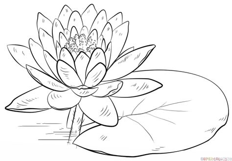 Trin For Trin Tegning, Lilies Drawing, Drawing Tutorials For Kids, Water Drawing, Flower Sketches, 3d Drawings, Plant Drawing, Step Drawing, Free Printable Coloring