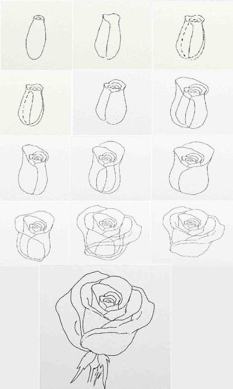 Flower Sketch Pencil, Draw A Rose, Draw Tutorial, Rose Drawing Tattoo, Rose Sketch, Fabric Painting Techniques, Flower Drawing Tutorials, Flower Art Drawing, Rose Drawing