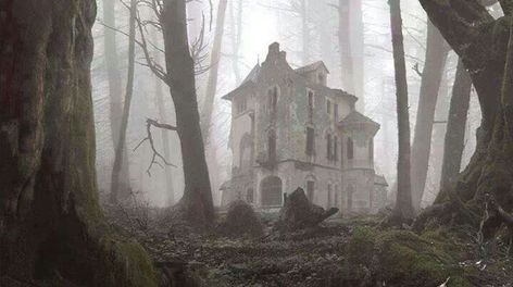 slender's mansion Creepy Houses, Old Abandoned Houses, Spooky Places, Spooky House, Abandoned House, This Old House, Abandoned Mansions, Scary Places, Haunted Places