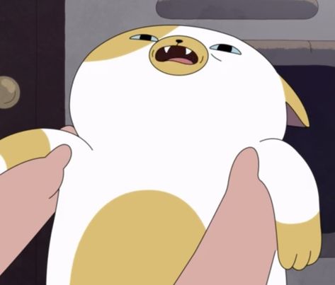 Cake The Cat Adventure Time, Fionna And Cake Icons, Fionna Pfp, Jake Moodboard, Adventure Time Meme, Fionna Campbell, Cake Adventure Time, Adventure Time Cake, Fiona And Cake