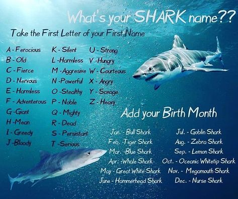 This weeks giveaway.... . . Because its Shark Week. We thought we could do a shark naming giveaway.  As always follow like and add your shark name below to win. Open to all and winner will be announced via stories during the week. . . Mine is Bloody Nurse Shark. Megamouth Shark, Shark Names, Zebra Shark, Goblin Shark, Your Birth Month Your, Your Month Your, Nurse Shark, Bull Shark, Shark Art