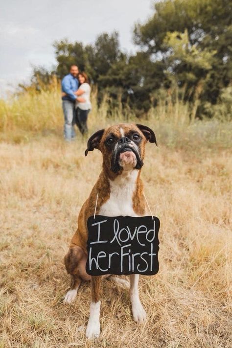 Engagement Photo Ideas Funny, Engagement Anouncment Ideas, Bible Engagement Pictures, Ways To Incorporate Dogs In Wedding, Cowboy Wedding Ideas, Little Wedding Ideas, Funny Engagement Announcement, Groom Proposal, Hunters Wedding