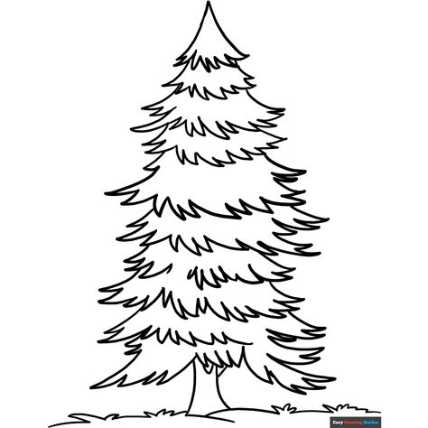 Free Spruce Coloring Page for Kids Printable Tree, Forest Coloring Pages, Tree Coloring, Leaf Coloring Page, Christmas Tree Coloring Page, Cartoon Trees, Red Veins, Tree Coloring Page, Coloring Ideas