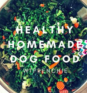 Homemade Dog Cookies, Healthy Dog Food, Dog Food Recipe, Salmon Quinoa, Diy Dog Food, Puppy Obedience Training, Easiest Dogs To Train, Food Dog, Dog Training Advice