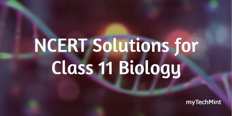 myTechMint NCERT Solutions for Class 11 Biology Chapter 22 – Chemical Coordination and Integration Page No 341: Question 1: Define the following: (a) Exocrine gland (b) Endocrine gland (c) Hormone Answer: (a) Exocrine glands: Glands that discharge secretions into ducts are known as ... Read More ➜ NCERT Solutions for Class 11 Biology Chapter 22 – Chemical Coordination and Integration Neha Chemical Coordination And Integration, Class 11 Biology, Adrenal Medulla, Exocrine Gland, Normal Blood Glucose Levels, Anterior Pituitary, Adrenal Cortex, Follicle Stimulating Hormone, Protein Metabolism