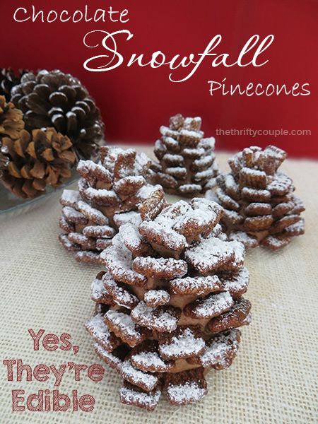 Chocolate Pinecones, Recipe Art, Dessert Art, Christmas Sweets, More Recipes, Christmas Goodies, Holiday Desserts, Holiday Treats, Pinterest Board