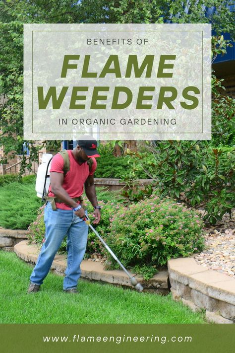 Tired of pulling weeds by hand? Try flame weeding with a weed burning torch! It's not only effective but also fun. Kill weeds completely and easily reach hard-to-reach areas like driveway cracks and crevices. Say hello to a weed-free garden with this environmentally friendly solution. #OrganicGardening #WeedRemoval How To Kill Weeds In Grass, Homemade Weedkiller Spray, Best Homemade Weedkiller Spray, Get Rid Of Dandelions, Non Toxic Weedkiller Spray, Organic Ways To Kill Weeds, Pulling Weeds, Gravel Driveway, Creative Landscape