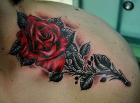 Meaning of Rose Tattoo - Black, Blue, Purple, and Other Roses Tattoos A Rose Tattoo, Men Flower Tattoo, Rose Tattoo Meaning, Rose Tattoos For Men, Black Rose Tattoos, Red Rose Tattoo, Omerta Tattoo, Tattoo Rose, Rose Tattoo Design