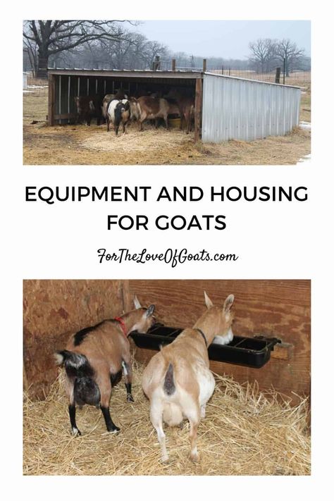 This episode includes a basic equipment list for goats, as well as what goats need for housing. You’ll learn what you need — and what you don’t. Pasture Shelter, Keeping Goats, Goat Shed, Goat Shelter, Goat House, Feeding Goats, Raising Farm Animals, Goat Herding, Goat Care