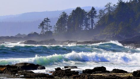 Pacific Rim National Park, Vancouver Island Canada, Canada Vacation, Fall City, Forest And Wildlife, Landscape Quilts, North Vancouver, Pacific Rim, Island Hopping