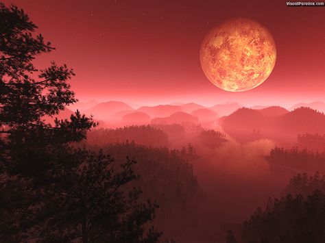 Multiple Wallpaper, Free 3d Wallpaper, Jacen Solo, Red Silhouette, Hills Landscape, Moon Nature, Star Wars Planets, Tree Model, Sith Empire