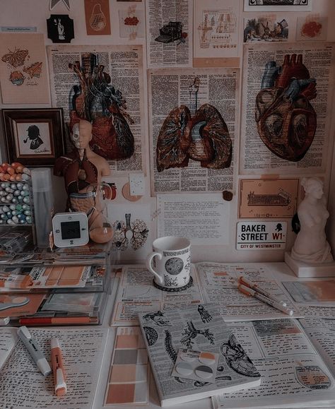 Med Student Desk Aesthetic, Medical Student Study Table Aesthetic, Medical Aesthetic Room, Medical School Studying Aesthetic, Studying Medicine Aesthetic Wallpaper, Med Student Study Table, Doctor Studying Aesthetic, Hijabi Doctor Aesthetic, Medicine University Aesthetic