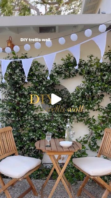 15K likes, 250 comments - rebeccaandgenevieve on June 8, 2023: "DIY Star Jasmine trellis wall, 2 years later 🌱😍 This was so affordable and easy to do and it gets better with time! For this pro...". Star Jasmine Trellis Ideas, Star Jasmine Trellis Wall, Jasmine Trellis Wall, Star Jasmine Wall, Star Jasmine Trellis, Jasmine Trellis, Jasmine Wall, Trellis Wall, Types Of Siding