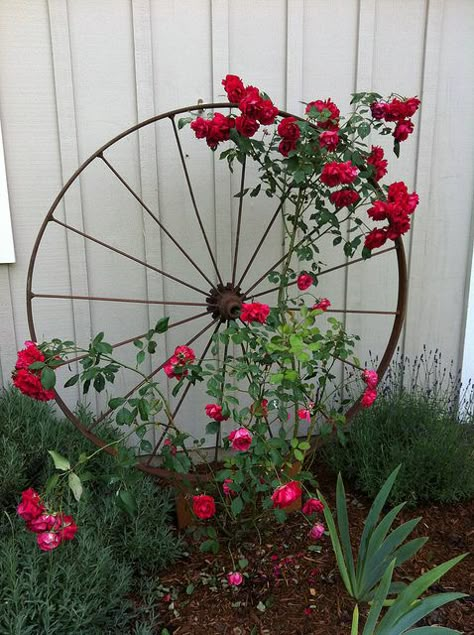 Wagon Wheel as Trellis / Garden Art by OSU Master Gardener, via Flickr ~ I love this idea, re-purposing items as lovely as this is much better than tossing them! Wagon Wheel Decor Outdoor, Garden Wagon, Wagon Wheels, Flowers Growing, Diy Trellis, Have Inspiration, The Secret Garden, Wagon Wheel, Garden Stuff