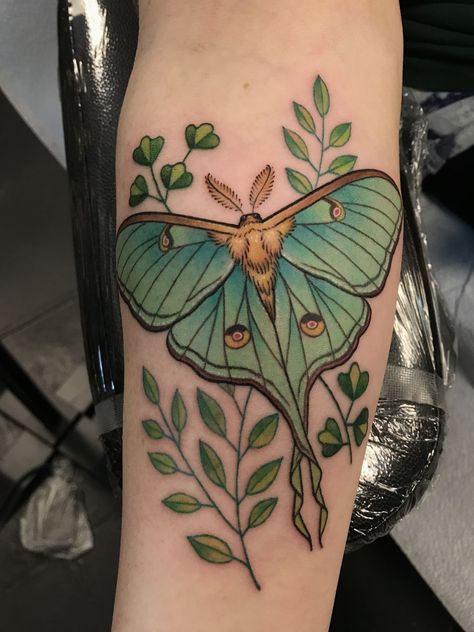 Lunar Moth Tattoo Fineline, Moth Tattoo Meaning, Luna Moth Tattoo, Moth Tattoos, Moth Tattoo Design, 16 Tattoo, Throat Tattoo, Kunst Tattoos, Amazing Body