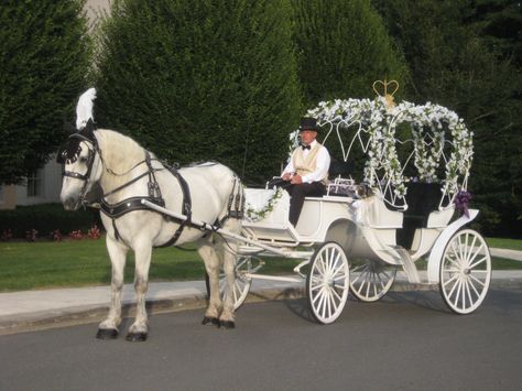 Cedar Knoll's Cinderella Carriage with white horse. http://www.cedarknoll.net Princess Wedding Invitations, Modern Victorian Wedding, Horse And Carriage Wedding, Medieval Wedding Theme, Carriage Wedding, Lilac Wedding Flowers, Victorian Horse, Fairytale Wedding Theme, Wedding Carriage