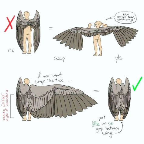 How To Draw Wings, Procreate Free Brushes, Wing Tutorial, Oc Creation, Draw Wings, Wings Sketch, Bird People, Free Brushes, Wings Drawing