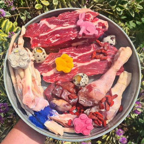 Raw Feeding Pax 🐾💚 on Instagram: “Friday Feast 🥩❤️ Check out what Pax has below 👇🏼👇🏼 Proteins (Meat) ♡ Ox Chunks - TDB @stefs_pet_pantry ♡ Lamb Paddywack- PRTC Bone ♡…” Protein Meats, Bully Breeds Dogs, Bully Breeds, Raw Food, Eating Raw, Happy Meal, Dog Eating, Diy Dog Stuff, Dog Food