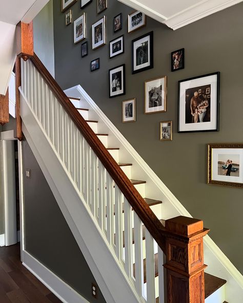 Gallery Wall Going Down Stairs, Photo Gallery On Stairs, Up Stairs Wall Decor, Staircase Landing Ideas, Gallery Stairs, Stairs Wall Decor, Stairs Painted, Gallery Wall Stairs, Stairway Photos