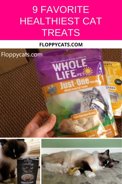 If there is something that any cat absolutely adores, that’s a delicious treat. Many cat owners, though, often avoid giving their cats treats because these are notoriously unhealthy. While there actually are too many cat treats that are loaded with chemicals or preservatives, rest assured that there are also quite a few excellent healthy treat options to choose from. Take a look as we list the 9 favorite healthiest cat treats that your kitty will love and that are actually good for them. Best Cat Treats, Cat Food Station, Cat Health Problems, Hypoallergenic Cats, Cat Food Brands, Best Cat Litter, Best Cat Food, Cat Nutrition, Cat Allergies