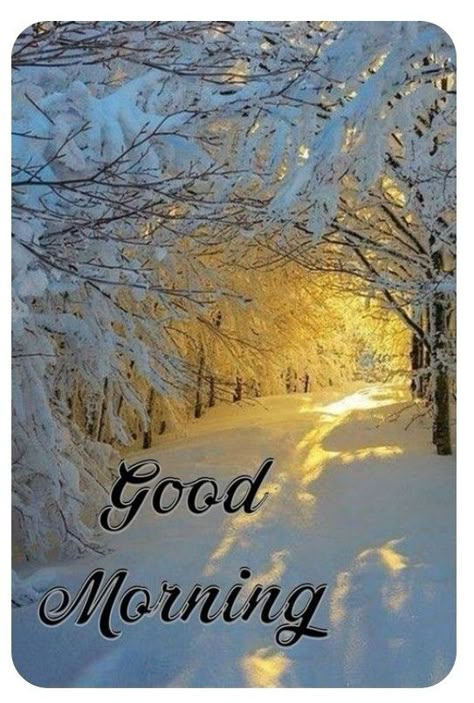 Good Morning January, Good Morning Winter, Morning Pic, Beau Gif, Happy Evening, Love Good Morning Quotes, Good Day Sunshine, Good Morning Flowers Quotes, Good Morning Beautiful Pictures