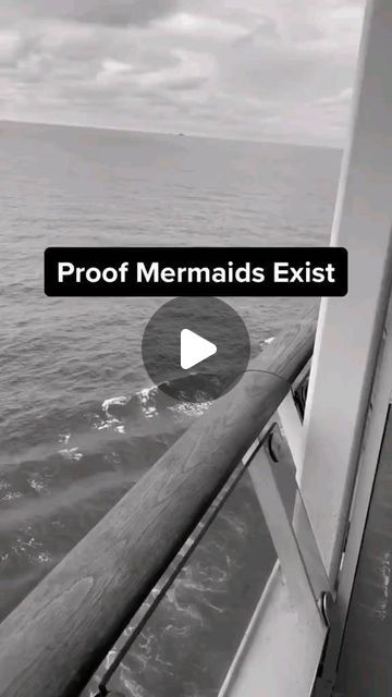 Real Mermaids Proof Of, Mermaids Real Proof, Are Mermaids Real Proof, Mermaid Videos Real Life, Do Mermaids Exist, Mermaid Facts, Mermaid Proof, Realistic Mermaid Drawing, Captured Mermaid