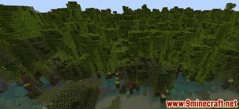 Minecraft Mangrove, Swamp Biome, Savanna Biome, Iron Golem, Minecraft Seed, Mangrove Swamp, Create A World, Acacia Tree, Minecraft Tutorial