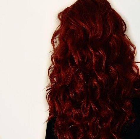 Scarlet Hair Aesthetic, Curly Red Hair Aesthetic Faceless, Red Hair Aesthetic Faceless, Dark Red Long Hair, Red Curly Hair Aesthetic, Dark Red Hair Aesthetic, Scarlet Red Hair, Red Hair Red Eyes, Red Hair Curly