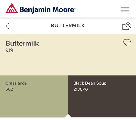 Buttermilk 919 Benjamin Moore Buttermilk Benjamin Moore, Benjamin Moore Buttermilk, Seeds Color, Benjamin Moore Colors, Design Seeds, Benjamin Moore, Rich Textures, Paint Color, Buttermilk