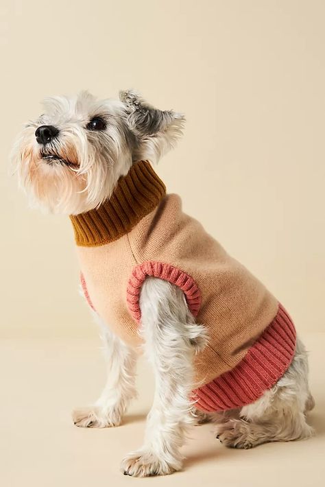 Nooee Pet | Anthropologie Dog Wearing Clothes, Animal Photoshoot, Modern Pet, Fun Toys, Dog Apparel, Dog Wear, Dog Sweaters, Dog Sweater, Pet Parent