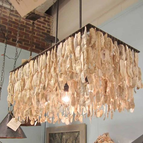 Oyster shells are relatively easy to find, you can find some of them directly on beaches, but also you can ask for restaurants if they can keep some for you or during your next party with Oysters. Keep the shells to make beautiful decorations such as lamps, mirrors, chandeliers, candle holders, wreaths or Christmas decorations! #oystershell #oysters #upcycled #reused #diy #homedecor Oyster Shell Chandelier, Oyster Shell Candle Holder, Oyster Shell Mirror, Oyster Shells Decor, Photo Branding, Shell Candle Holder, Driftwood Chandelier, Oyster Art, Shell Projects