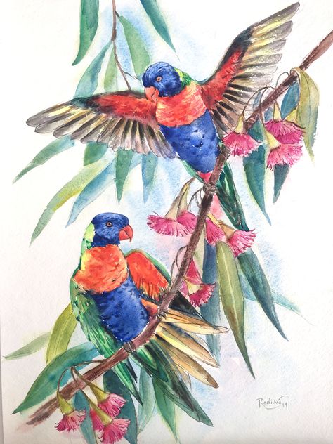 Federation Interiors, Parrot Tattoo, Aussie Animals, Rainbow Lorikeet, Tree Watercolor Painting, Gum Tree, Tree Watercolor, Parrots Art, Mural Ideas