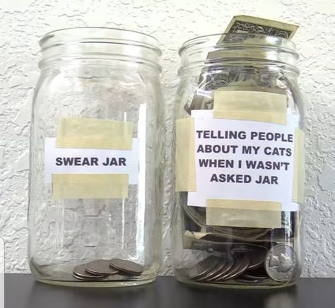 Swear Jar Ideas, Swear Jar, No One Asked, Jar Ideas, Cat People, Critical Role, My Car, About Cats, My Cat