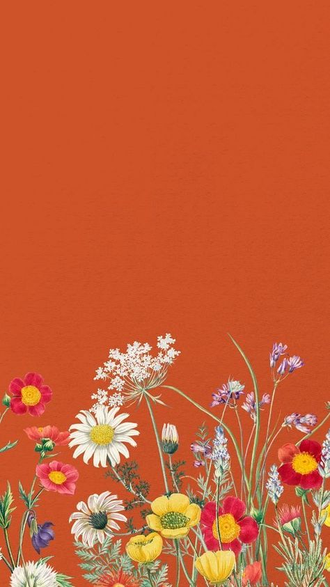 Wildflower Phone Background, Spring Art Wallpaper, Wildflower Iphone Wallpaper, Wildflower Wallpaper Iphone, Bright Spring Wallpaper, Wallpaper Backgrounds Orange, Wild Flower Background, Wallpaper Spring Iphone, Orange Floral Background